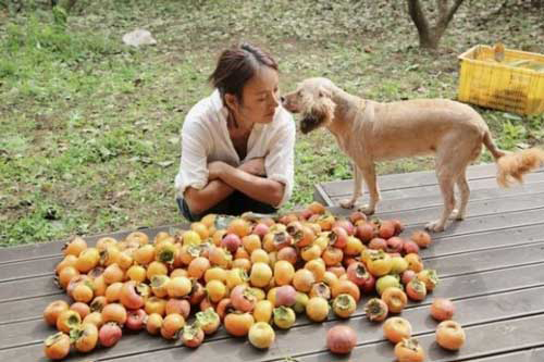 32 aceb Ghé thăng ngôi nhà và trang trại chốn bình yên của nữ hoàng gợi cảm của Hàn Quốc