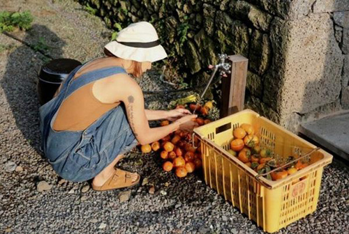 53 8775 Ghé thăng ngôi nhà và trang trại chốn bình yên của nữ hoàng gợi cảm của Hàn Quốc