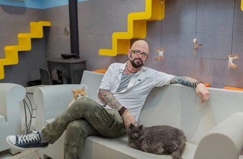 jackson galaxy doanhnhansaigon Bài học kinh doanh: Hãy kiên nhẫn như loài mèo