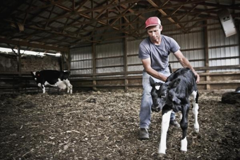 dairy farmer 575626963 1367834100 500x0 Phóng viên là mộ trong những công việc tệ nhất nước Mỹ