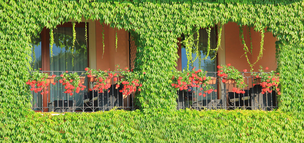 nhung khung cua so dep hut hon voi sac hoa ruc ro 1f49e9172b Thiết kế những khung cửa sổ đẹp hút hồn nhờ sắc hoa rực rỡ