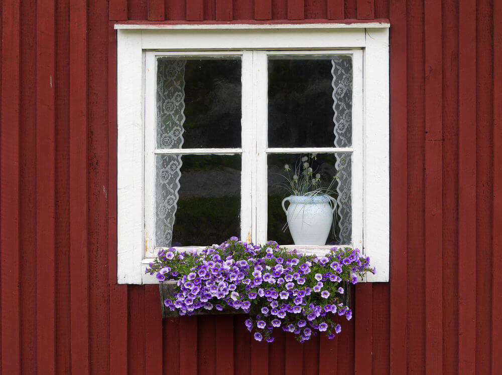 nhung khung cua so dep hut hon voi sac hoa ruc ro b35878b036 Thiết kế những khung cửa sổ đẹp hút hồn nhờ sắc hoa rực rỡ