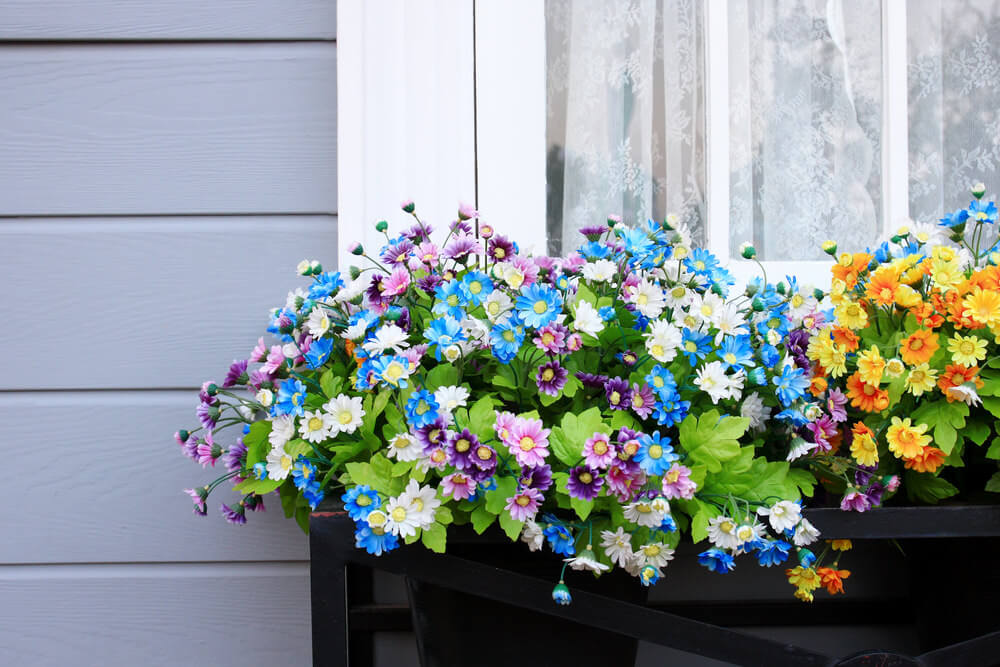 Thiết kế những khung cửa sổ đẹp hút hồn nhờ sắc hoa rực rỡ nhung khung cua so dep hut hon voi sac hoa ruc ro fa181ebc37 Thiết kế những khung cửa sổ đẹp hút hồn nhờ sắc hoa rực rỡ