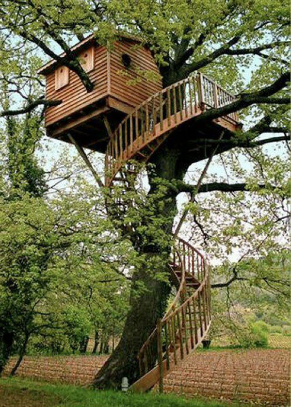 nha tren cay9 Cùng nhìn qua 15 thiết kế nhà trên cây tuyệt đẹp khiến bạn “ngắm không chớp mắt”