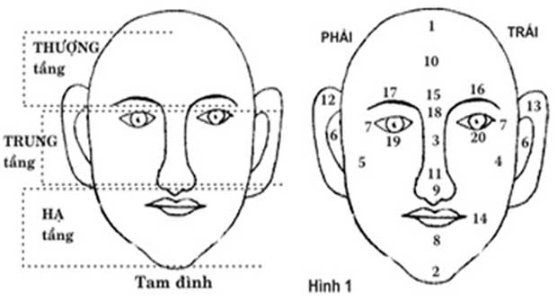 xem tuong mui phu nu doan van menh sang hen Xem vận mệnh sang hèn qua tướng mũi phụ nữ